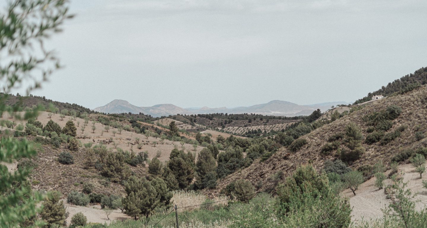 Surrounding area